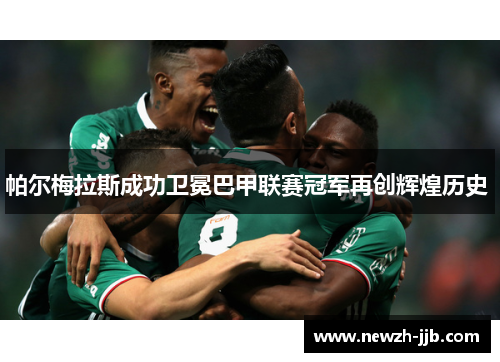 帕尔梅拉斯成功卫冕巴甲联赛冠军再创辉煌历史 