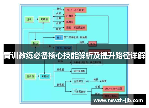 青训教练必备核心技能解析及提升路径详解